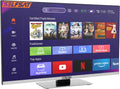 téléviseur Selfsat | TV, 60 cm – Noir/Argent
