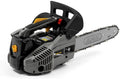 Alpina tronçonneuse, 25 cm – 900 W | 21 m, Noir/Gris/Jaune – d'élagage APR 25 (10)'' | Guide-chaîne (10''), Moteur thermique 25